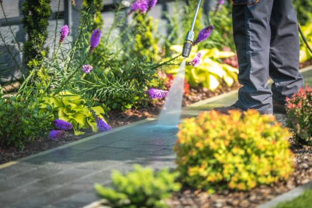 Best Spring Cleaning  in Fords, NJ